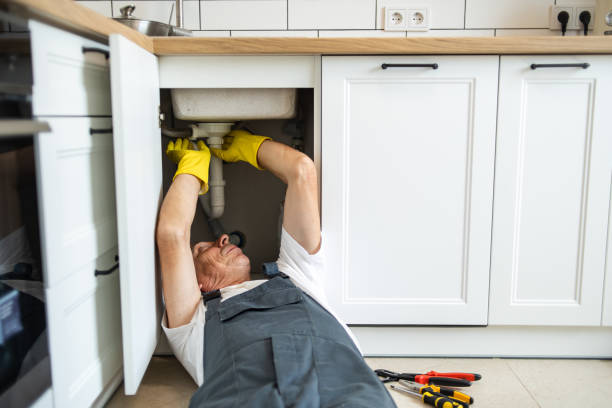 Best Septic Systems  in East Renton Highlands, WA